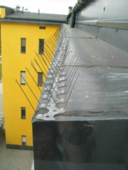 img_4874.jpg