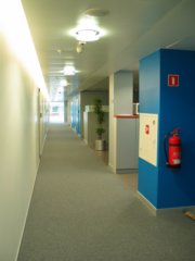 img_4996.jpg