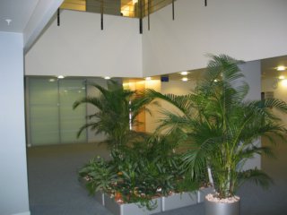img_5100.jpg